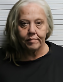 Mugshot of DANA LEIGH BROOKS