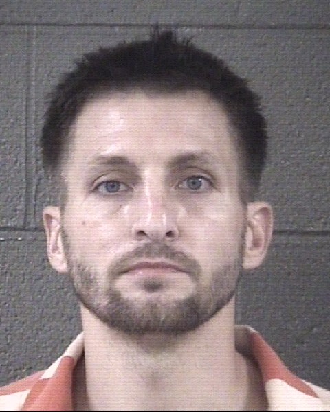 Mugshot of DAVID MICHAEL L WEBB