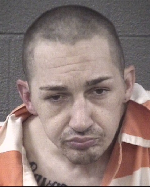 Mugshot of WILLIAM JADE FOREST DOLAN