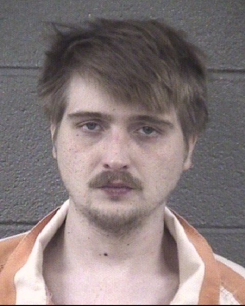 Mugshot of SERGIY PAUL PORUCHIKOV