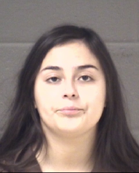Mugshot of BRIANNA SITJES