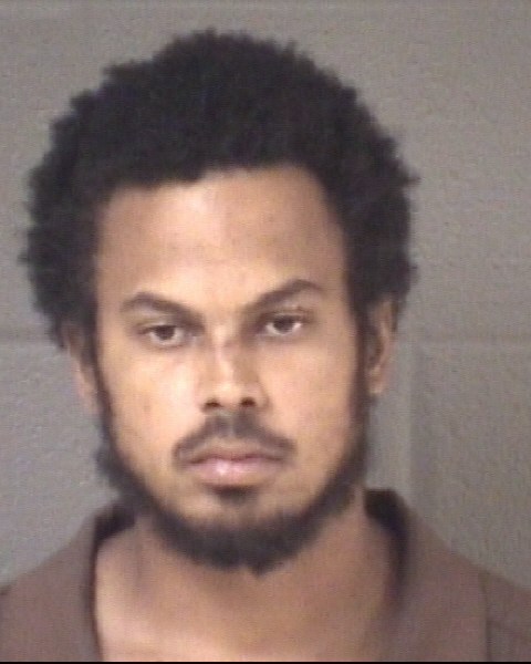 Mugshot of TRAVIS LEON ERIK GRAY