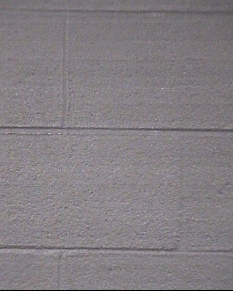 Mugshot of DAVID SCOTT WALTERS