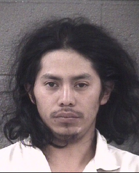 Mugshot of DIEGO ROMAN BRAVO BRAVO