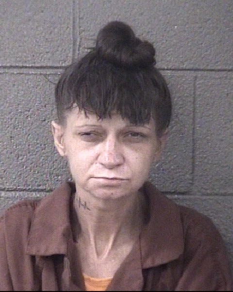 Mugshot of STEPHANIE DANNIELLE DONOFRIO