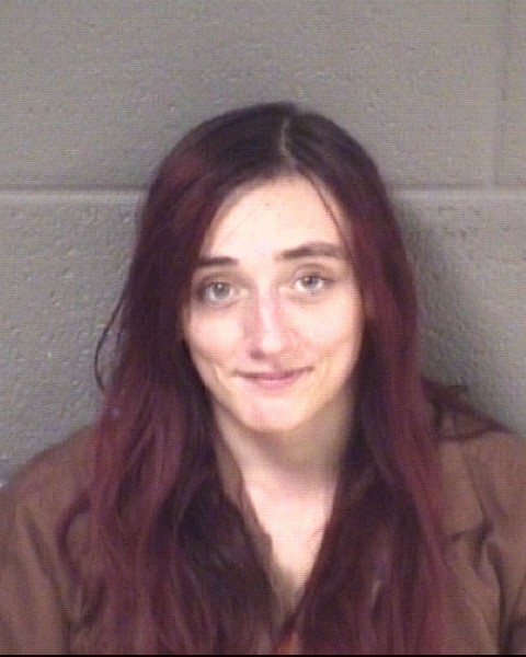 Mugshot of CHEYENNE MORGAN HAYNES