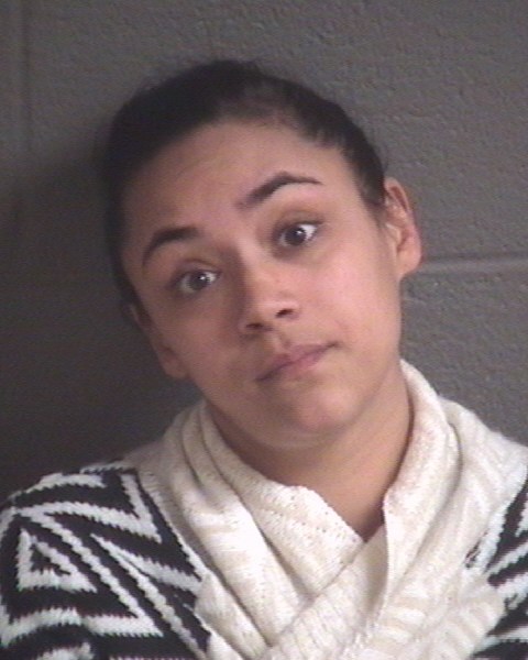 Mugshot of SALLY ANN NESTOR