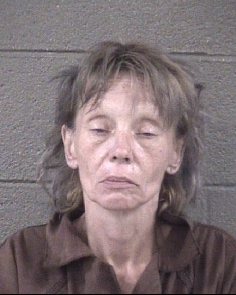 Mugshot of CHERYL ANNE HANEY