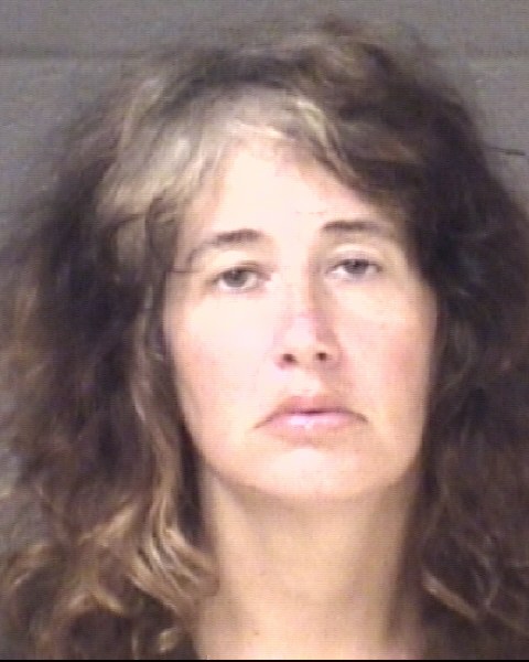Mugshot of SHANNON KELLY MCFADDEN