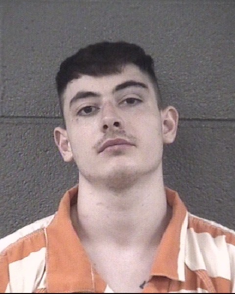 Mugshot of LEVI DWAYNE STINES