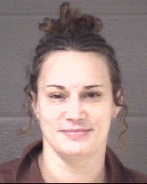 Mugshot of DANIELLE JENEE LICHNOVSKY