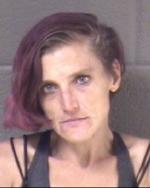 Mugshot of CRYSTAL MICHELLE PHILLIPS