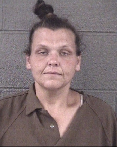 Mugshot of SHARON ELIZABETH PENLEY