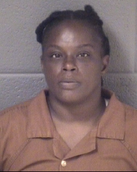 Mugshot of NIKKI ANN SYKES