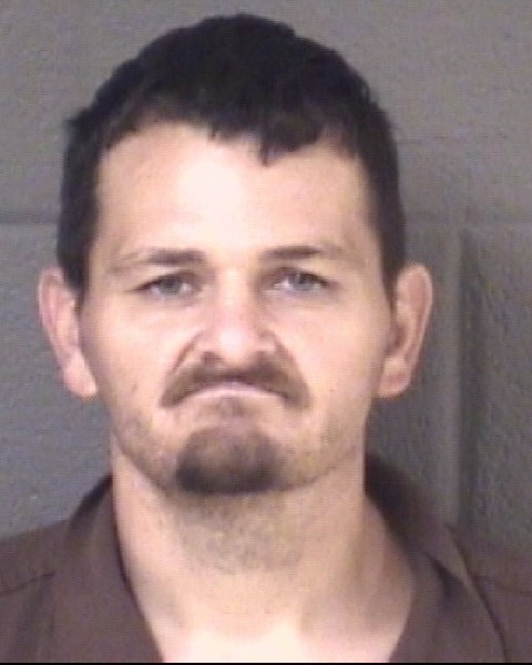 Mugshot of JACKSON LAYNE INGRAM