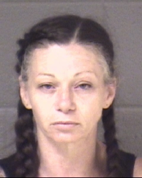 Mugshot of SHERON NICOLE NELON