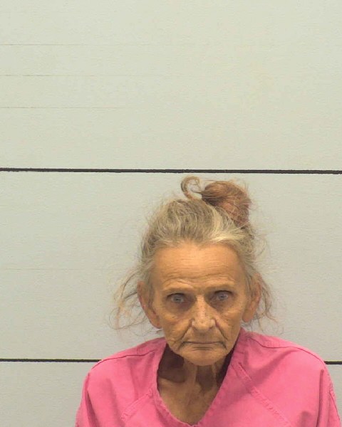 Mugshot of BENITA RENEE LOWMAN