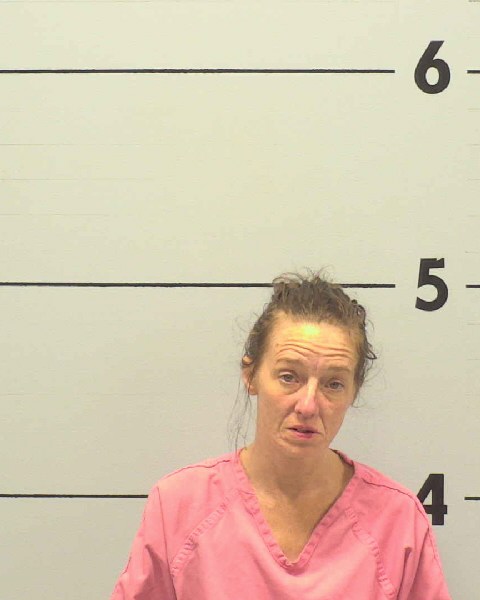 Mugshot of CAROLYN ROSE STANDIFUR