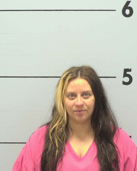 Mugshot of COURTNEY LEE BRADSHAW