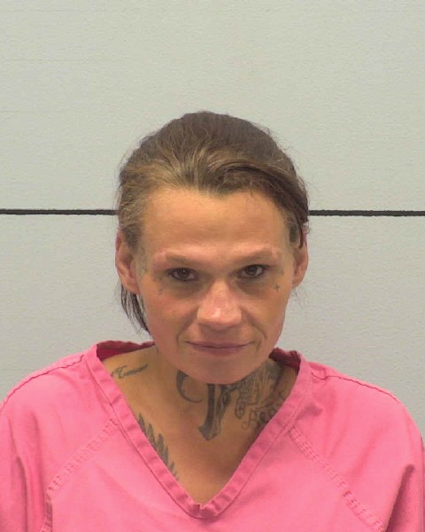 Mugshot of JESSE LORENE ESTES