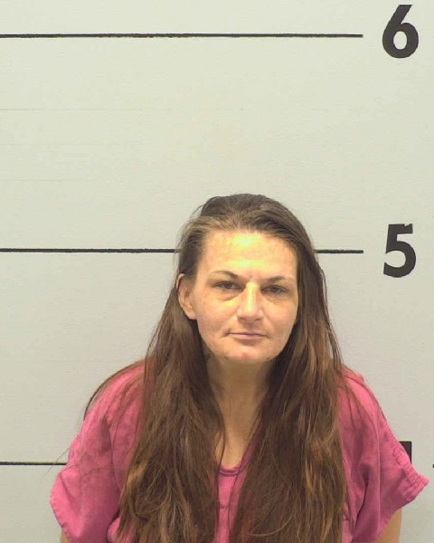 Mugshot of SHELLI LYNN MAYFIELD