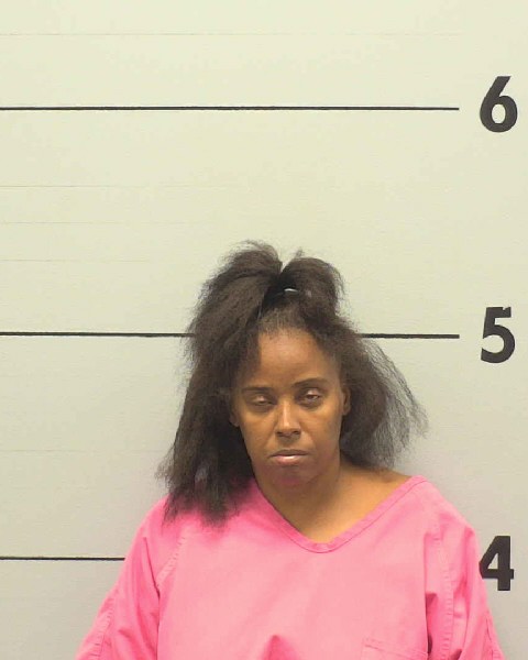 Mugshot of BRANDY SHERNEA JOHNSON