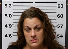 Mugshot of ERICA LOUISE ZABROSKI