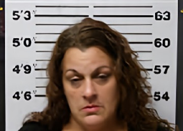 Mugshot of ERICA LOUISE ZABROSKI