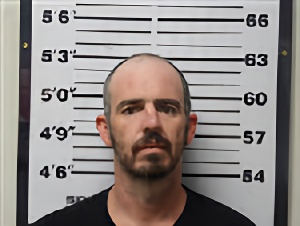Mugshot of ALEX VERL WILLIS