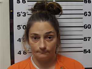 Mugshot of ASHLEY DIANE ARMSTRONG