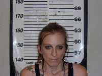 Mugshot of MELISSA NICHOLE WILKINS