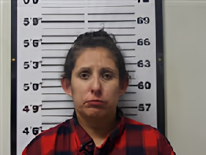 Mugshot of MARLENE ANNE FLORES