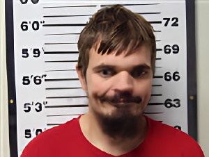 Mugshot of BRANDON LEE STONE