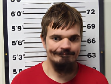 Mugshot of BRANDON LEE STONE