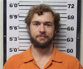 Mugshot of DARYL LEE DAVIS