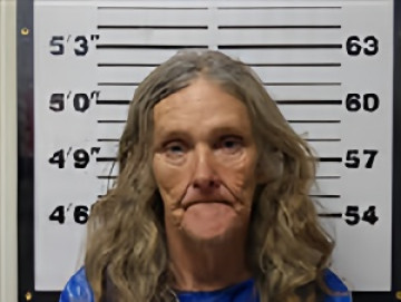 Mugshot of DEBRA WILLIS SPRINGLE