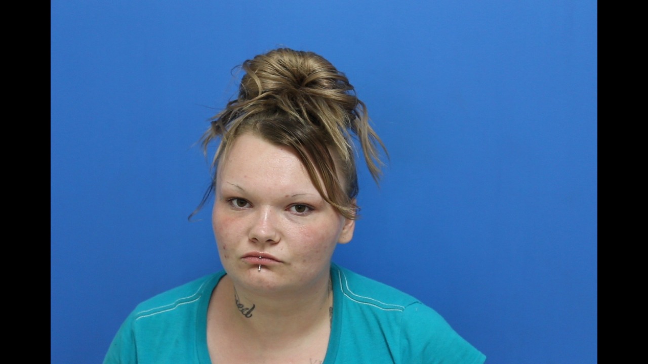 Mugshot of Bridget Ann Bessette
