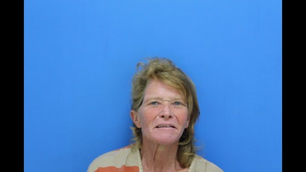 Mugshot of Brandi Elizabeth Gregor