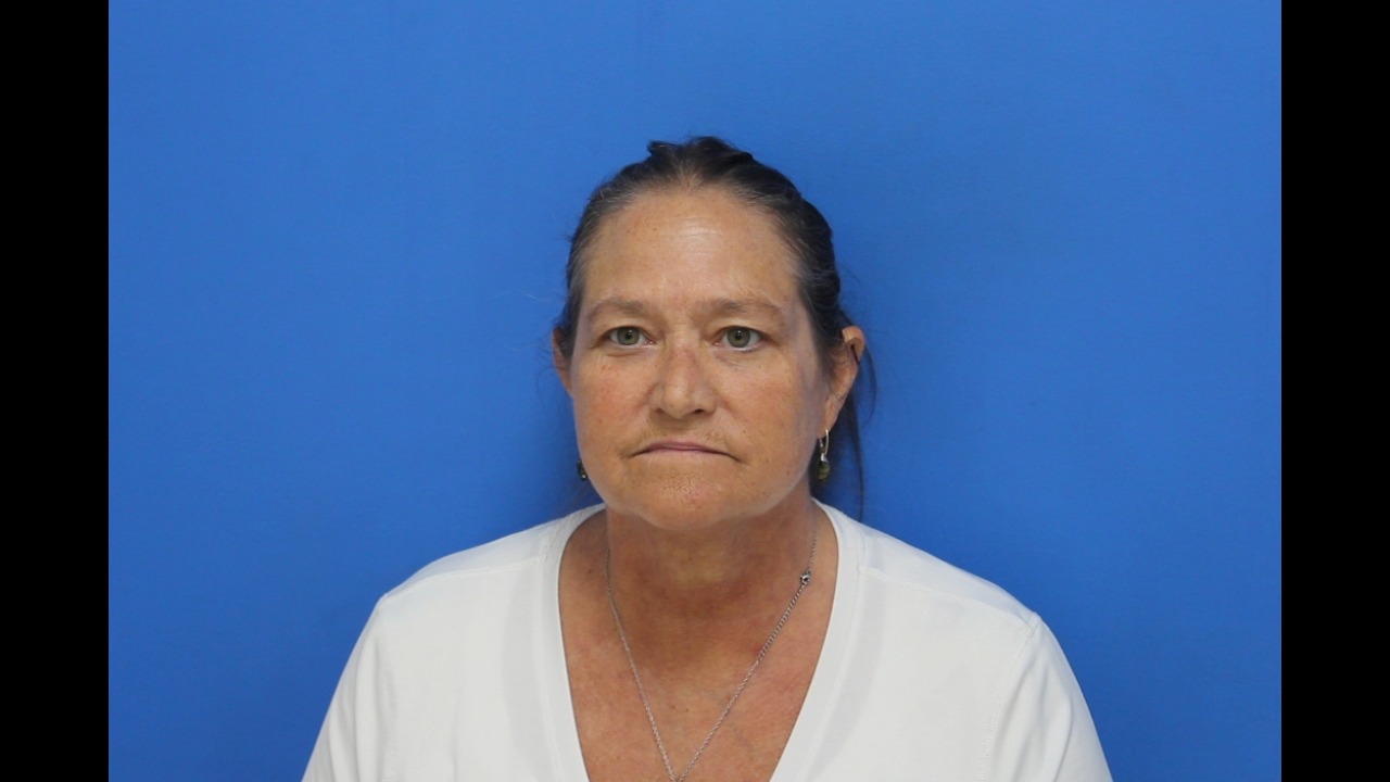 Mugshot of Allison Earle Arriaga