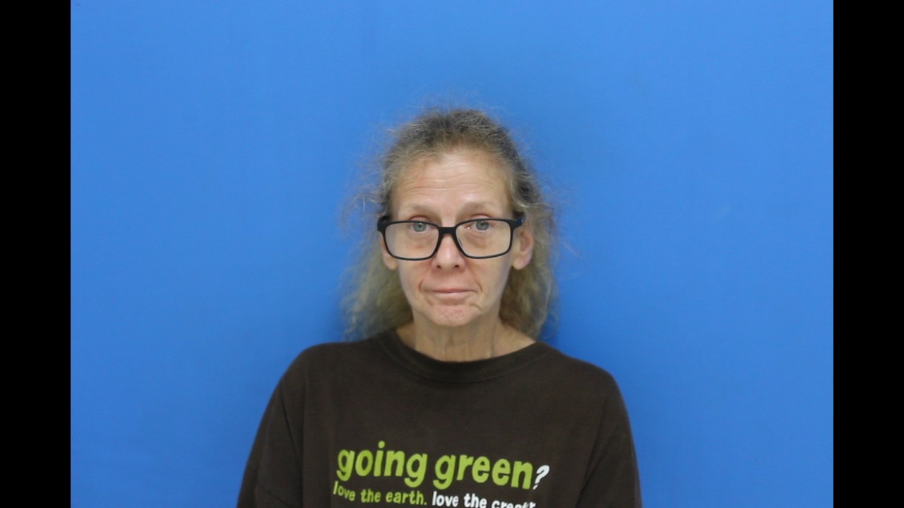 Mugshot of Rita Renee Clemmer