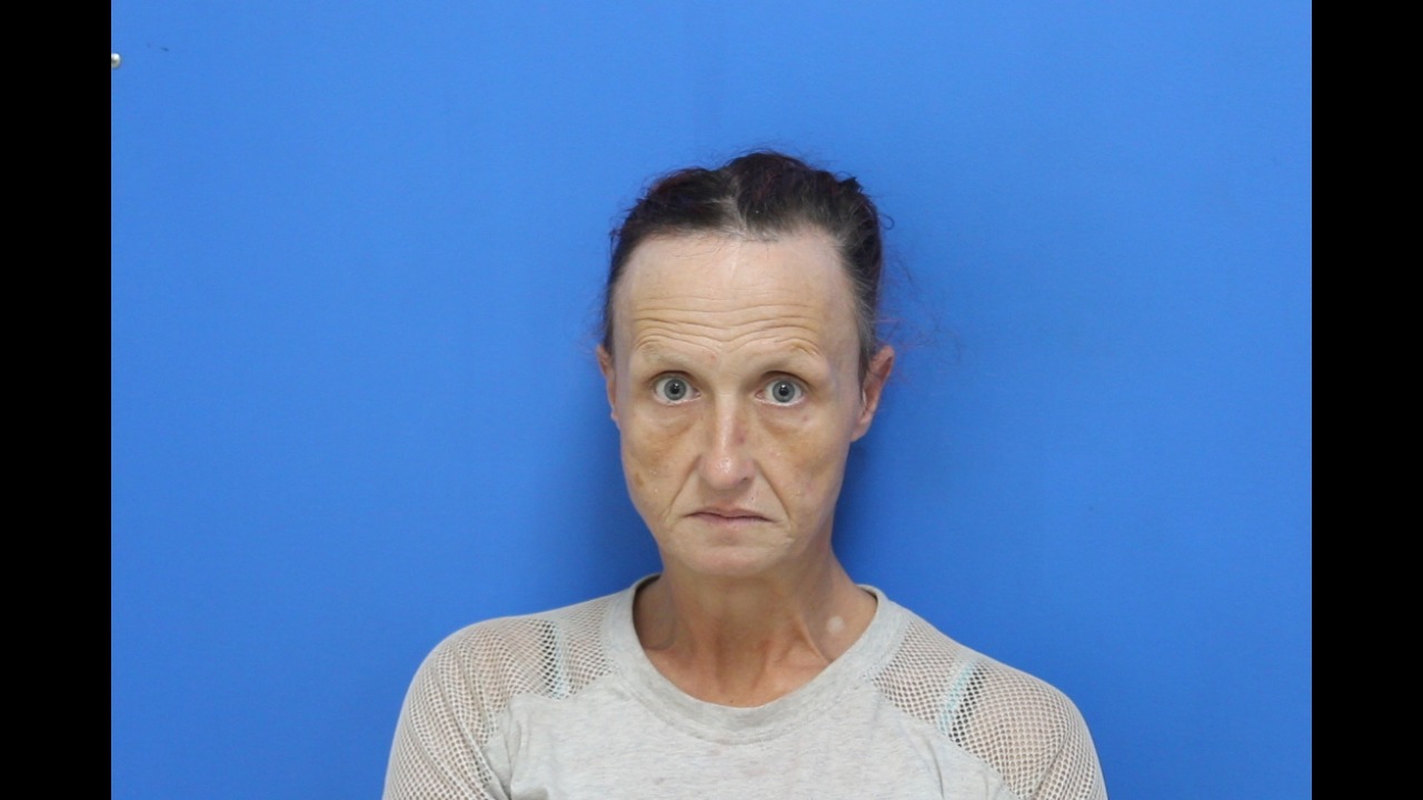 Mugshot of Ashley Nichole Mccrary