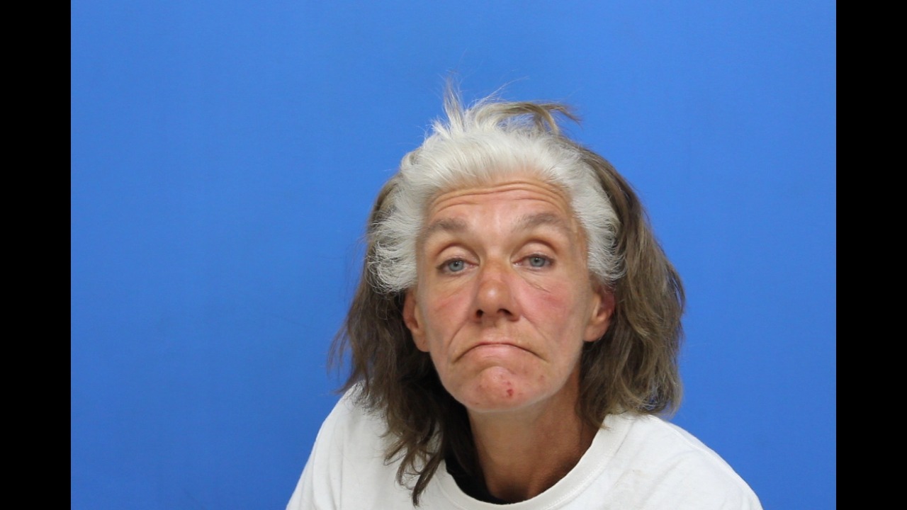 Mugshot of Cynthia Louise Harris