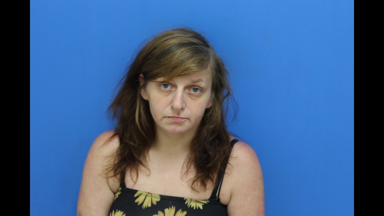 Mugshot of Melinda Cobie Carpenter