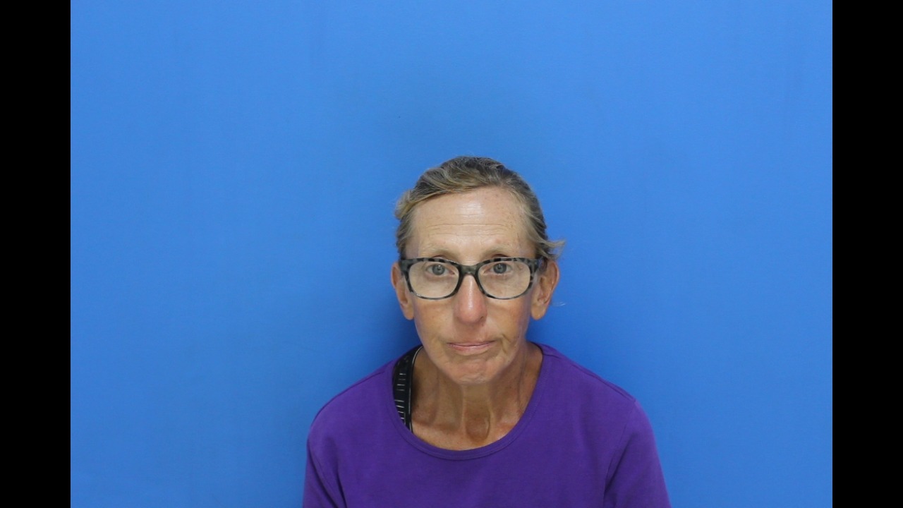 Mugshot of Dana Barbour Mccall