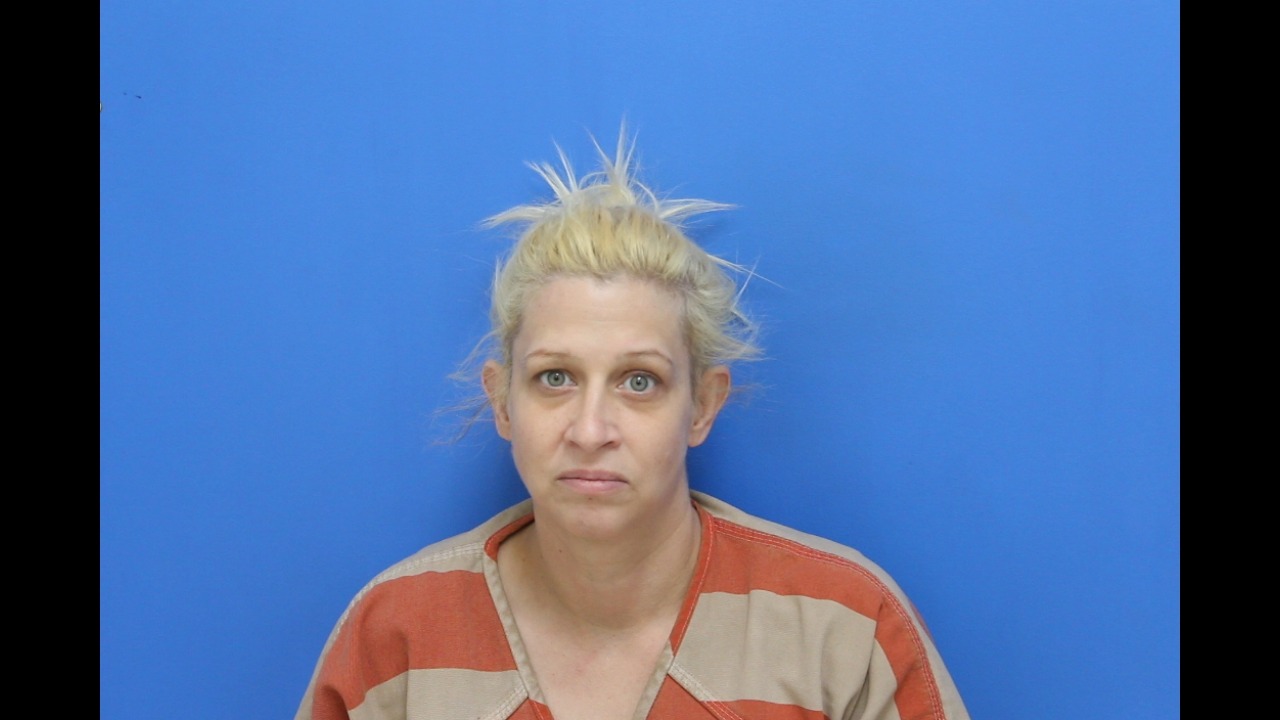 Mugshot of Heather Shea Jonas