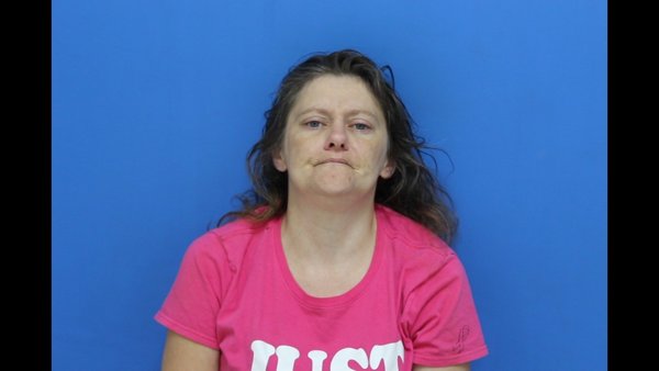 Mugshot of Julie Marie Fenner