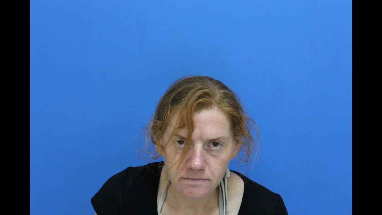 Mugshot of Alexandria Beth Snyder