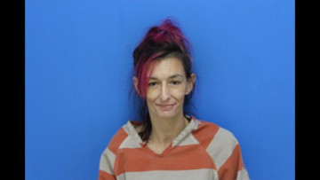 Mugshot of Shena Bonnie Mitchell
