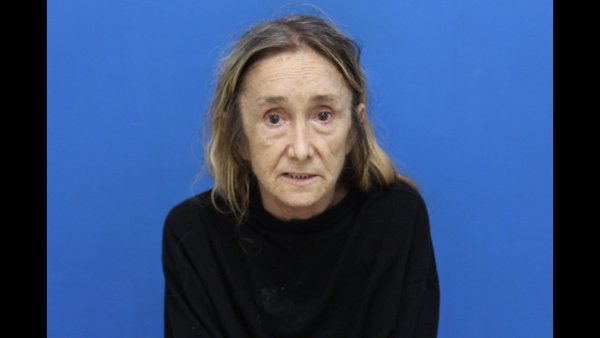 Mugshot of Holly Bailey Townsend