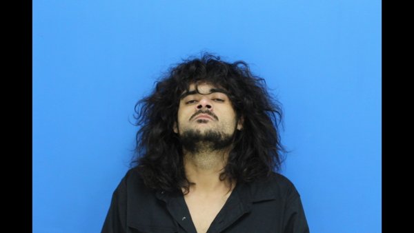 Mugshot of Jordan Donnale Moses